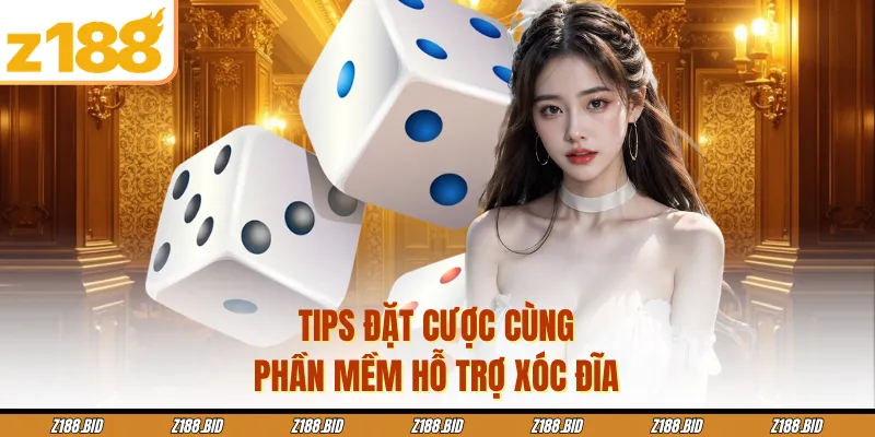 Tips đặt cược cùng phần mềm hỗ trợ xóc đĩa